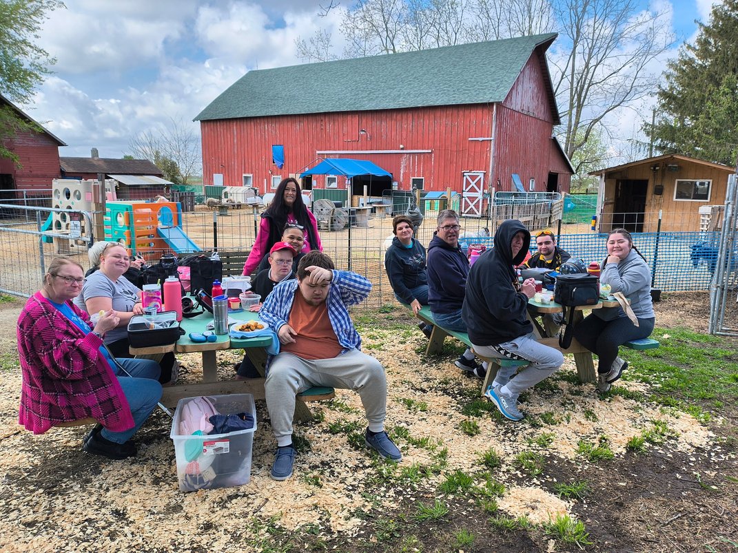 Happy Little Hooves Farm tour experience