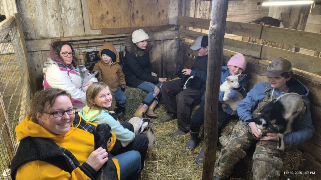 Baby goat snuggling at Happy Little Hooves Farm