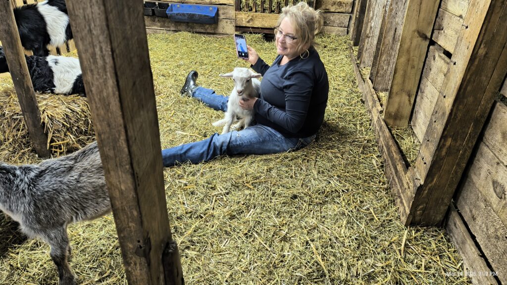 Baby goats at Happy Little Hooves Farm