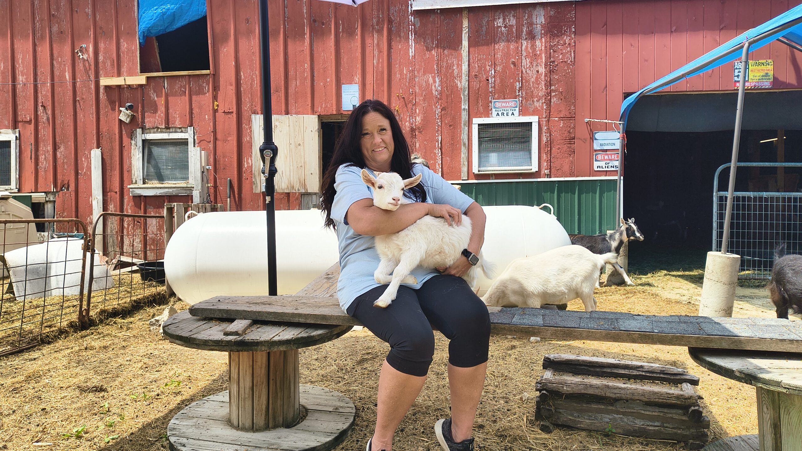 Visitors enjoying Happy Little Hooves Farm