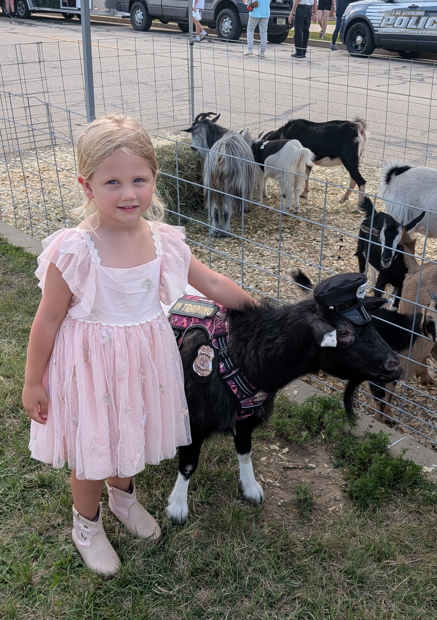 Happy Little Hooves Farm mobile petting zoo event
