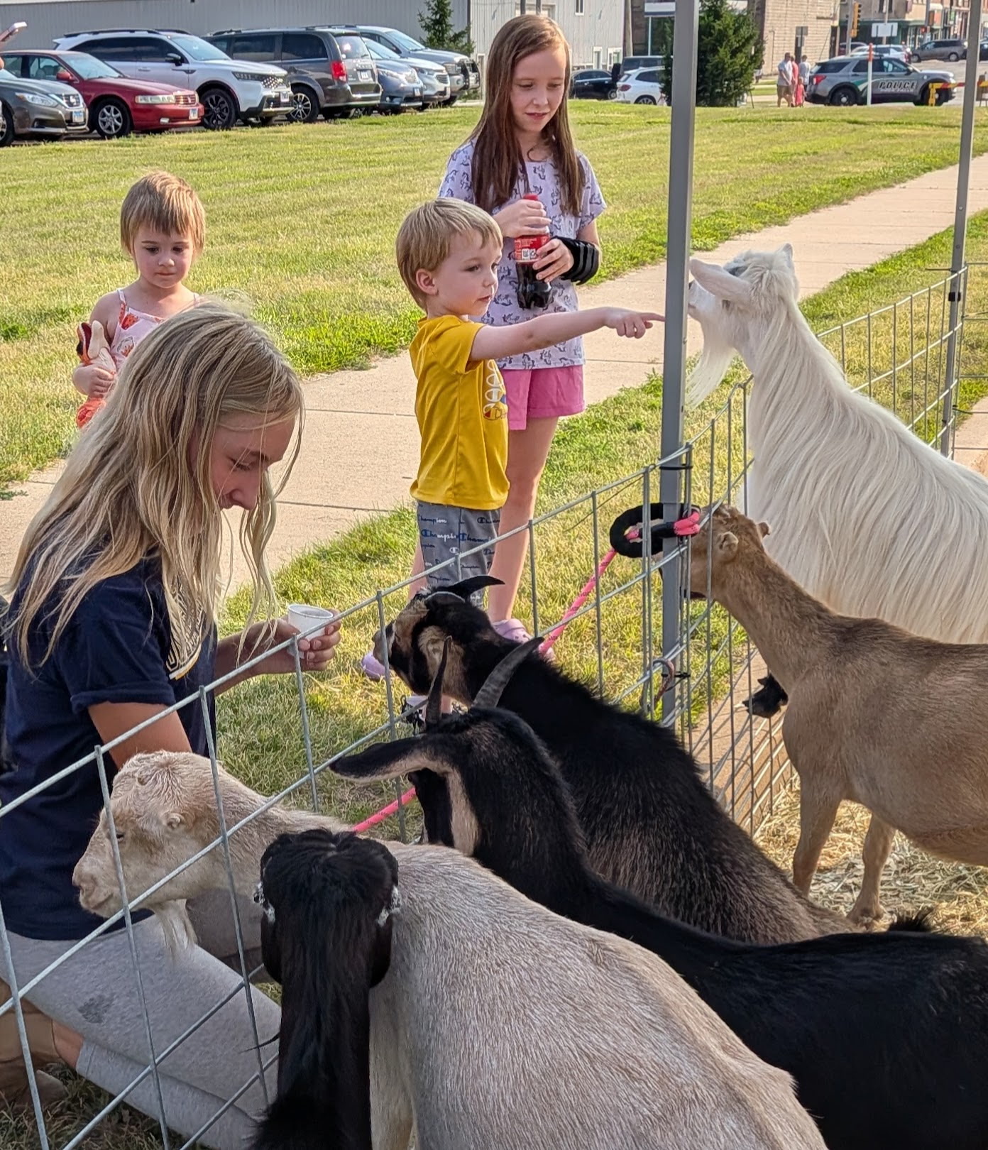 Happy Little Hooves Farm community festival