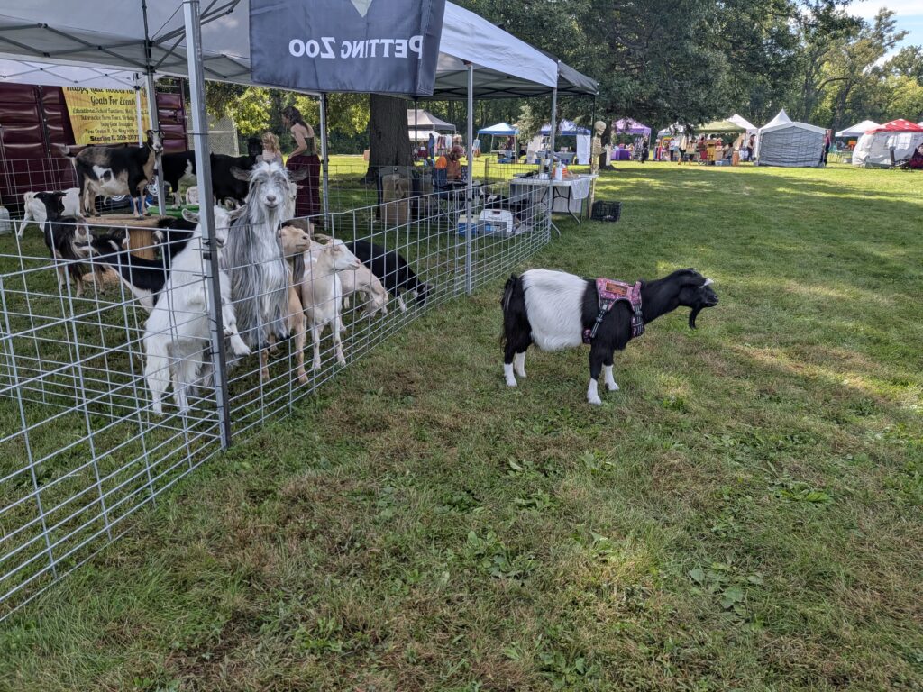 Happy Little Hooves Farm goats