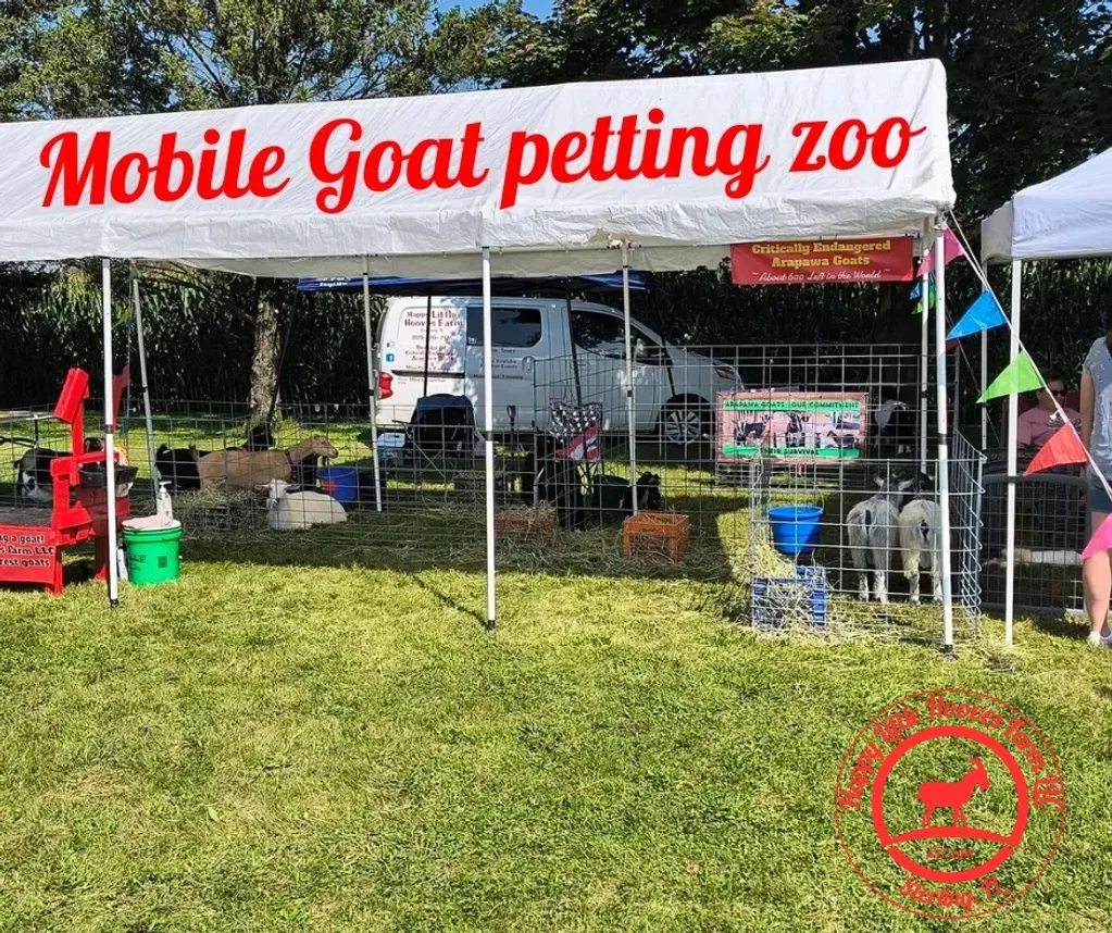 Happy Little Hooves Farm mobile goat petting zoo at an outdoor event with goats, tents and farm signage
