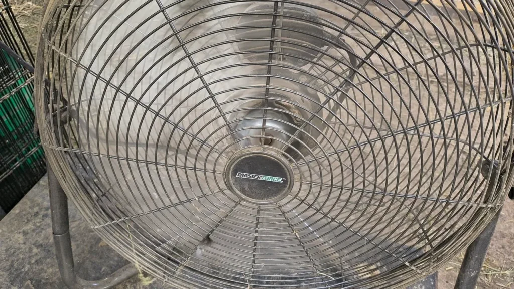 Large circulating barn fan used to keep goats cool during Illinois summers