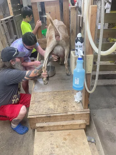 Happy Little Hooves Farm educational goat program